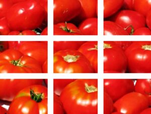 Сельскохозяйственная техника для выращивания томатов